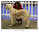 Filename=K-Qashqui.jpg
Filesize=161KiB
Dimensions=977x812
Date added=Sep 18, 2011 K-Qashqui.jpg
