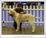 L-Glenglassaugh.jpg