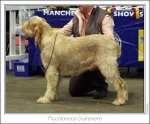 Filename=P-Guinevere.jpg
Filesize=165KiB
Dimensions=977x812
Date added=Sep 18, 2011 P-Guinevere.jpg