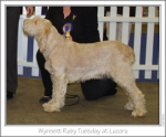Filename=W-RubyTuesday2.jpg
Filesize=158KiB
Dimensions=977x812
Date added=Sep 18, 2011 W-RubyTuesday2.jpg