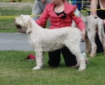Filename=A-Amelia.jpg
Filesize=411KiB
Dimensions=700x569
Date added=Sep 18, 2011 A-Amelia.jpg