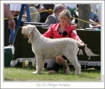 Filename=A-Amelia1.jpg
Filesize=216KiB
Dimensions=861x734
Date added=Sep 18, 2011 A-Amelia1.jpg