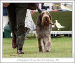 Filename=A-ShowMeTheMoney2.jpg
Filesize=219KiB
Dimensions=861x734
Date added=Sep 18, 2011 A-ShowMeTheMoney2.jpg