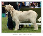 Filename=B-AlFresco1.jpg
Filesize=234KiB
Dimensions=861x734
Date added=Sep 18, 2011 B-AlFresco1.jpg