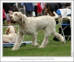 Filename=B-AlFresco2.jpg
Filesize=218KiB
Dimensions=861x734
Date added=Sep 18, 2011 B-AlFresco2.jpg