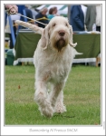 Filename=B-AlFresco3.jpg
Filesize=192KiB
Dimensions=585x750
Date added=Sep 18, 2011 B-AlFresco3.jpg