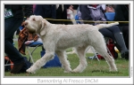 Filename=B-AlFresco4.jpg
Filesize=208KiB
Dimensions=861x553
Date added=Sep 18, 2011 B-AlFresco4.jpg