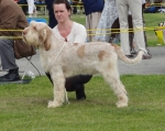 Filename=B-Finlay.jpg
Filesize=389KiB
Dimensions=700x556
Date added=Sep 18, 2011 B-Finlay.jpg
