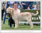 Filename=B-Finlay1.jpg
Filesize=238KiB
Dimensions=867x685
Date added=Sep 18, 2011 B-Finlay1.jpg