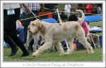 Filename=B-Finlay2.jpg
Filesize=189KiB
Dimensions=861x557
Date added=Sep 18, 2011 B-Finlay2.jpg