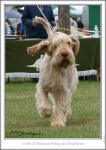 Filename=B-Finlay3.jpg
Filesize=192KiB
Dimensions=534x750
Date added=Sep 18, 2011 B-Finlay3.jpg