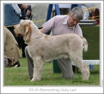 Filename=B-LikelyLad1.jpg
Filesize=315KiB
Dimensions=828x750
Date added=Sep 18, 2011 B-LikelyLad1.jpg