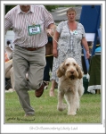 Filename=B-LikelyLad2.jpg
Filesize=242KiB
Dimensions=599x750
Date added=Sep 18, 2011 B-LikelyLad2.jpg