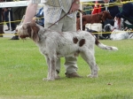 Filename=C-Rockefeller.JPG
Filesize=367KiB
Dimensions=700x525
Date added=Sep 18, 2011 C-Rockefeller.JPG