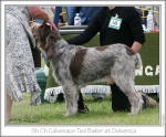 Filename=C-TedBaker1.jpg
Filesize=211KiB
Dimensions=868x719
Date added=Sep 18, 2011 C-TedBaker1.jpg
