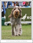 Filename=C-TedBaker2.jpg
Filesize=227KiB
Dimensions=591x750
Date added=Sep 18, 2011 C-TedBaker2.jpg