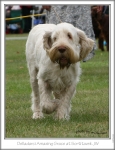Filename=D-AmazingGrace2.jpg
Filesize=204KiB
Dimensions=575x749
Date added=Sep 18, 2011 D-AmazingGrace2.jpg