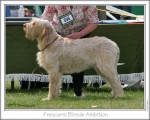 Filename=F-BlondeAmbition.jpg
Filesize=205KiB
Dimensions=867x695
Date added=Sep 18, 2011 F-BlondeAmbition.jpg