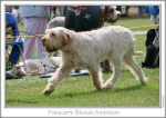 Filename=F-BlondeAmbition2.jpg
Filesize=204KiB
Dimensions=864x616
Date added=Sep 18, 2011 F-BlondeAmbition2.jpg