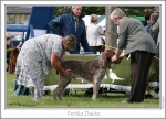 Filename=F-Daldo1.jpg
Filesize=208KiB
Dimensions=973x706
Date added=Sep 18, 2011 F-Daldo1.jpg