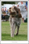 Filename=F-Daldo2.jpg
Filesize=202KiB
Dimensions=501x745
Date added=Sep 18, 2011 F-Daldo2.jpg