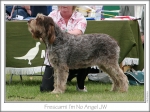 Filename=F-IMNoAngel.jpg
Filesize=224KiB
Dimensions=866x647
Date added=Sep 18, 2011 F-IMNoAngel.jpg