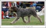 Filename=F-IMNoAngel2.jpg
Filesize=210KiB
Dimensions=968x597
Date added=Sep 18, 2011 F-IMNoAngel2.jpg