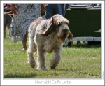 Filename=H-CaffeLatte2.jpg
Filesize=203KiB
Dimensions=846x697
Date added=Sep 18, 2011 H-CaffeLatte2.jpg