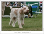 Filename=H-CheekyVimto2.jpg
Filesize=204KiB
Dimensions=905x699
Date added=Sep 18, 2011 H-CheekyVimto2.jpg