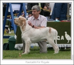 Nom du fichier=H-KirRoyale1.jpg
Taille du fichier=194Ko
Dimensions : 852x750
Ajouté le : 18 Septembre 2011 H-KirRoyale1.jpg