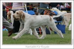 Nom du fichier=H-KirRoyale3.jpg
Taille du fichier=228Ko
Dimensions : 1112x750
Ajouté le : 18 Septembre 2011 H-KirRoyale3.jpg