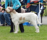 Filename=H-LouisDousset.jpg
Filesize=414KiB
Dimensions=700x610
Date added=Sep 18, 2011 H-LouisDousset.jpg