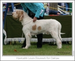 Filename=H-LouisDousset1.jpg
Filesize=194KiB
Dimensions=913x750
Date added=Sep 18, 2011 H-LouisDousset1.jpg