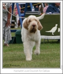 Filename=H-LouisDousset2.jpg
Filesize=218KiB
Dimensions=646x752
Date added=Sep 18, 2011 H-LouisDousset2.jpg
