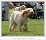 Filename=I-Avia3.jpg
Filesize=205KiB
Dimensions=859x752
Date added=Sep 18, 2011 I-Avia3.jpg