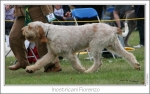 Filename=I-Fiorenzo3.jpg
Filesize=227KiB
Dimensions=1191x750
Date added=Sep 18, 2011 I-Fiorenzo3.jpg