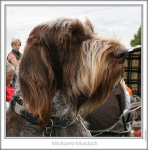 Filename=M-Murdoch3.jpg
Filesize=227KiB
Dimensions=738x746
Date added=Sep 18, 2011 M-Murdoch3.jpg