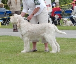 Filename=N-GotToBeThere.jpg
Filesize=384KiB
Dimensions=700x594
Date added=Sep 18, 2011 N-GotToBeThere.jpg
