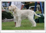 Filename=N-GotToBeThere1.jpg
Filesize=158KiB
Dimensions=963x702
Date added=Sep 18, 2011 N-GotToBeThere1.jpg