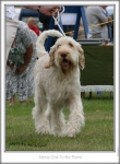 Filename=N-GotToBeThere2.jpg
Filesize=157KiB
Dimensions=498x679
Date added=Sep 18, 2011 N-GotToBeThere2.jpg