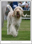Filename=N-GotToBeThere3.jpg
Filesize=153KiB
Dimensions=501x679
Date added=Sep 18, 2011 N-GotToBeThere3.jpg