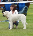 Filename=N-MissNugent.jpg
Filesize=438KiB
Dimensions=700x760
Date added=Sep 18, 2011 N-MissNugent.jpg