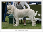 Filename=N-MissNugent1.jpg
Filesize=223KiB
Dimensions=944x702
Date added=Sep 18, 2011 N-MissNugent1.jpg