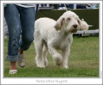 Filename=N-MissNugent3.jpg
Filesize=194KiB
Dimensions=838x695
Date added=Sep 18, 2011 N-MissNugent3.jpg