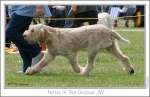 Filename=Netis-InTheGroove4.jpg
Filesize=204KiB
Dimensions=1093x710
Date added=Sep 18, 2011 Netis-InTheGroove4.jpg