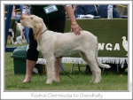 Filename=R-Cherriecola1.jpg
Filesize=215KiB
Dimensions=923x700
Date added=Sep 18, 2011 R-Cherriecola1.jpg