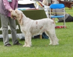 Filename=S-Delius.jpg
Filesize=369KiB
Dimensions=700x547
Date added=Sep 18, 2011 S-Delius.jpg