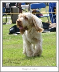 Filename=S-Delius3.jpg
Filesize=176KiB
Dimensions=562x682
Date added=Sep 18, 2011 S-Delius3.jpg