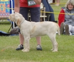 Filename=S-Iva.jpg
Filesize=353KiB
Dimensions=700x591
Date added=Sep 18, 2011 S-Iva.jpg