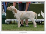 Filename=S-Iva1.jpg
Filesize=202KiB
Dimensions=943x702
Date added=Sep 18, 2011 S-Iva1.jpg